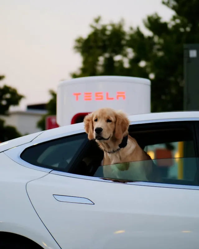 tesla interior upgrade